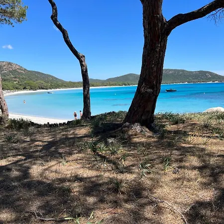 Palombaggia Villa Porto-Vecchio (Corsica)