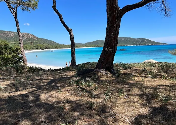 Palombaggia Villa Porto-Vecchio (Corsica)